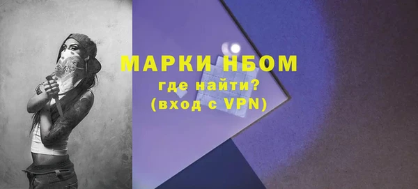 эйфоретик Няндома