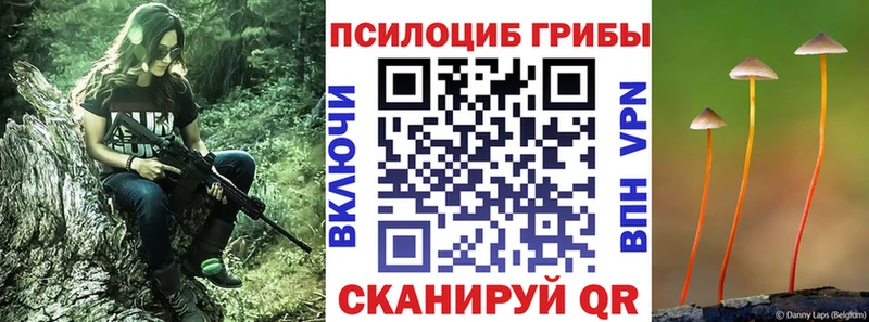 Галлюциногенные грибы MAGIC MUSHROOMS  Боготол 